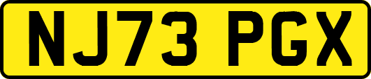 NJ73PGX