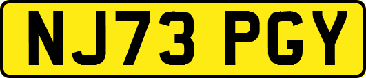 NJ73PGY