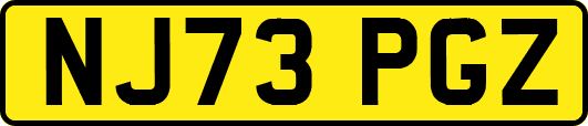 NJ73PGZ