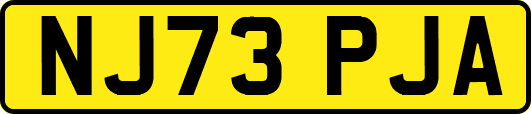 NJ73PJA