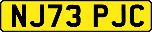 NJ73PJC