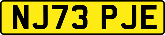 NJ73PJE