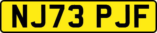 NJ73PJF