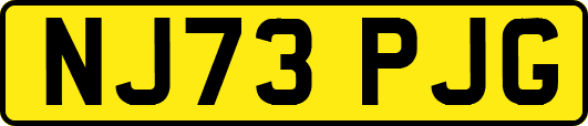 NJ73PJG