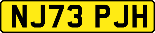 NJ73PJH