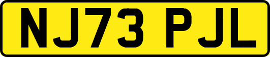 NJ73PJL