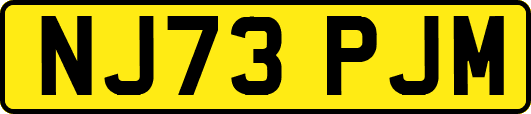 NJ73PJM