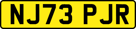 NJ73PJR