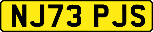 NJ73PJS