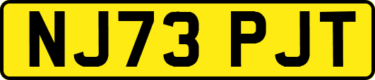 NJ73PJT