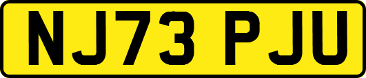NJ73PJU
