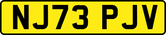 NJ73PJV