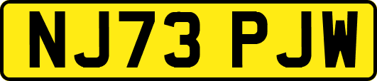 NJ73PJW