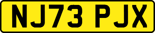 NJ73PJX