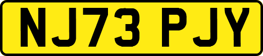 NJ73PJY