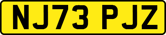 NJ73PJZ