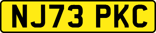 NJ73PKC