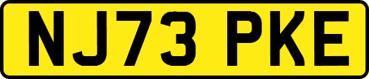 NJ73PKE