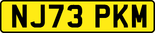 NJ73PKM