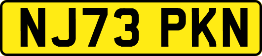 NJ73PKN