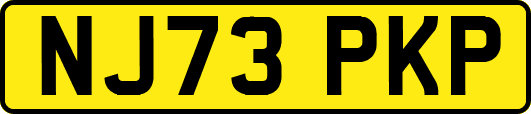 NJ73PKP