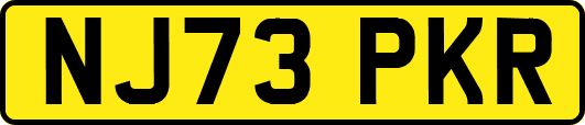 NJ73PKR