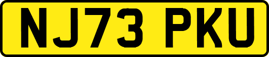 NJ73PKU