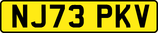 NJ73PKV