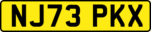NJ73PKX