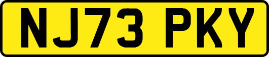 NJ73PKY
