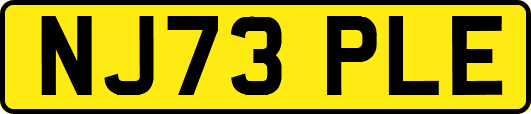 NJ73PLE