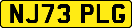NJ73PLG