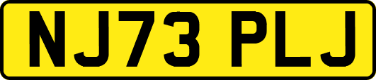 NJ73PLJ