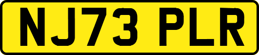 NJ73PLR