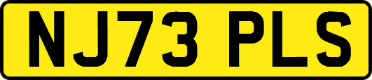 NJ73PLS