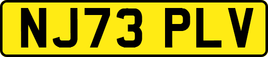 NJ73PLV