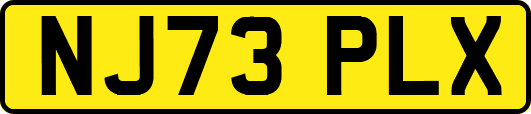 NJ73PLX