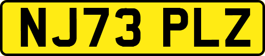 NJ73PLZ