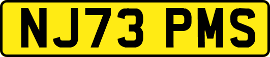 NJ73PMS