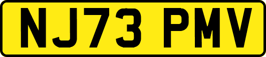 NJ73PMV