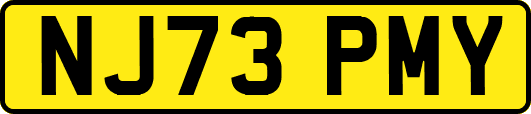 NJ73PMY