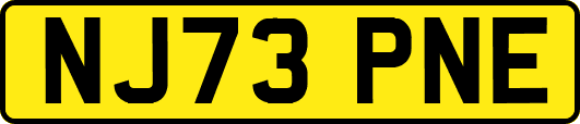 NJ73PNE