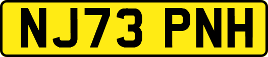 NJ73PNH