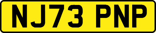 NJ73PNP