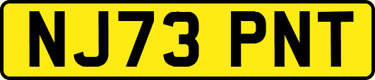NJ73PNT