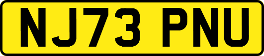 NJ73PNU