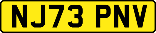 NJ73PNV