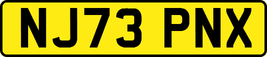 NJ73PNX