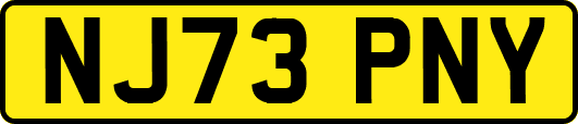 NJ73PNY