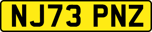 NJ73PNZ